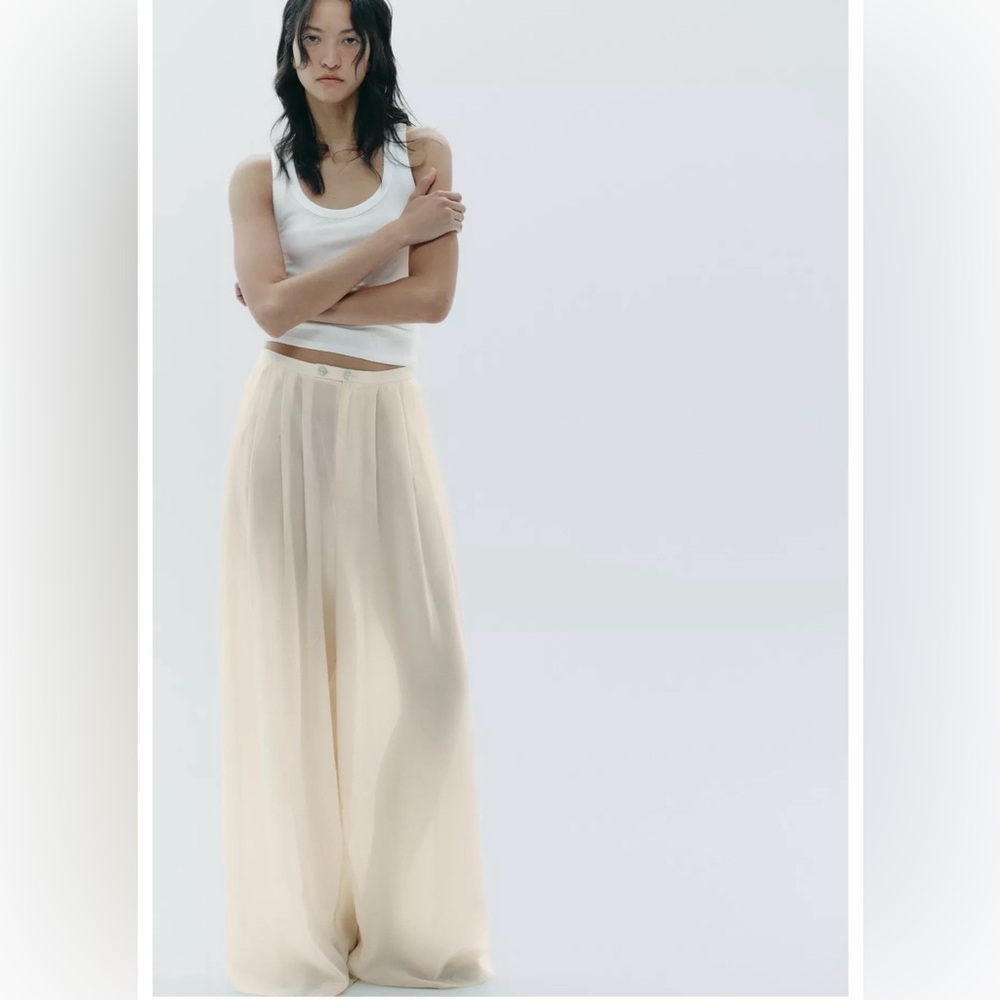 Zara Sheer Wide Leg Pants
